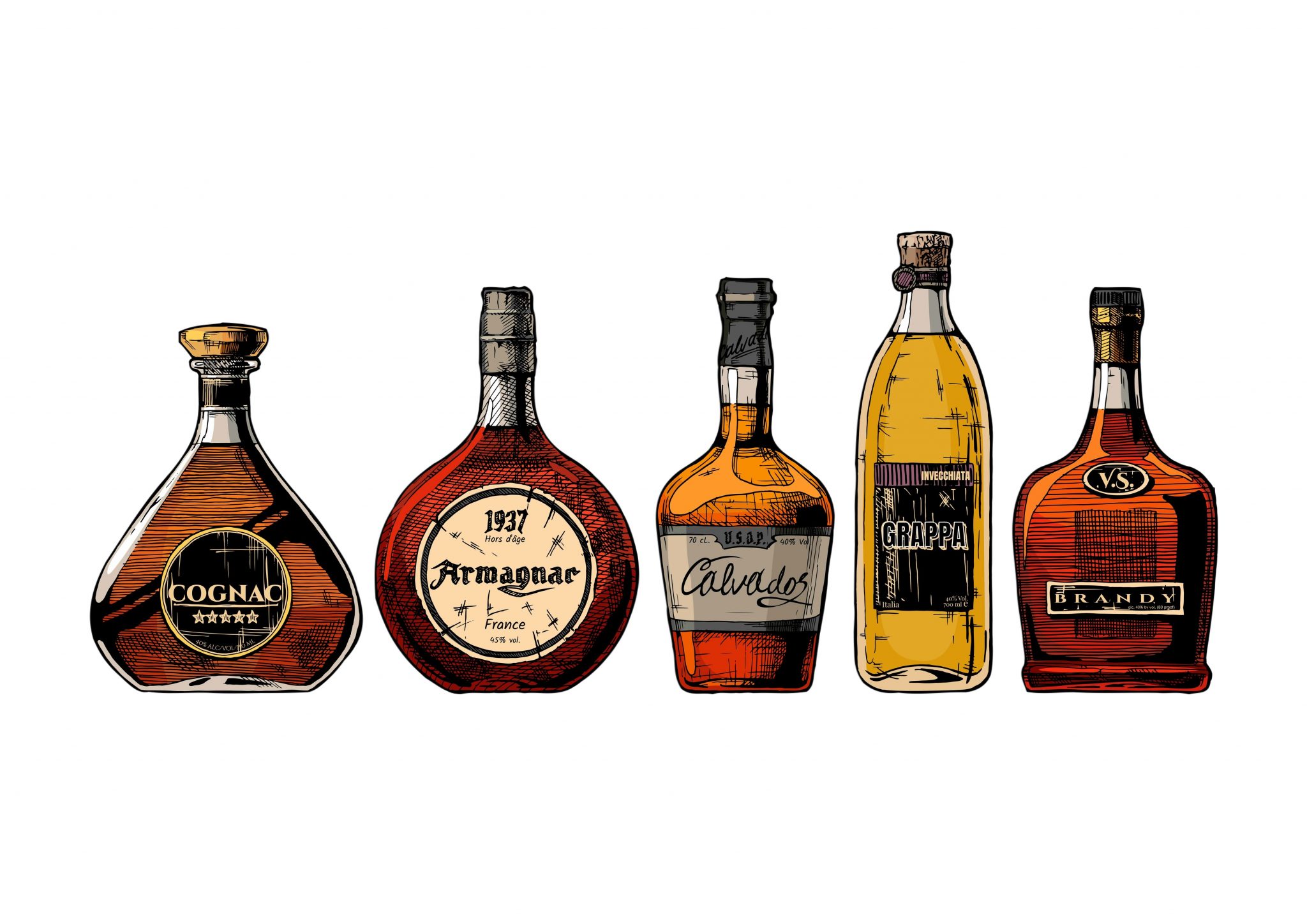 Alcohol stocks that won't give you a hangover // Economagic
